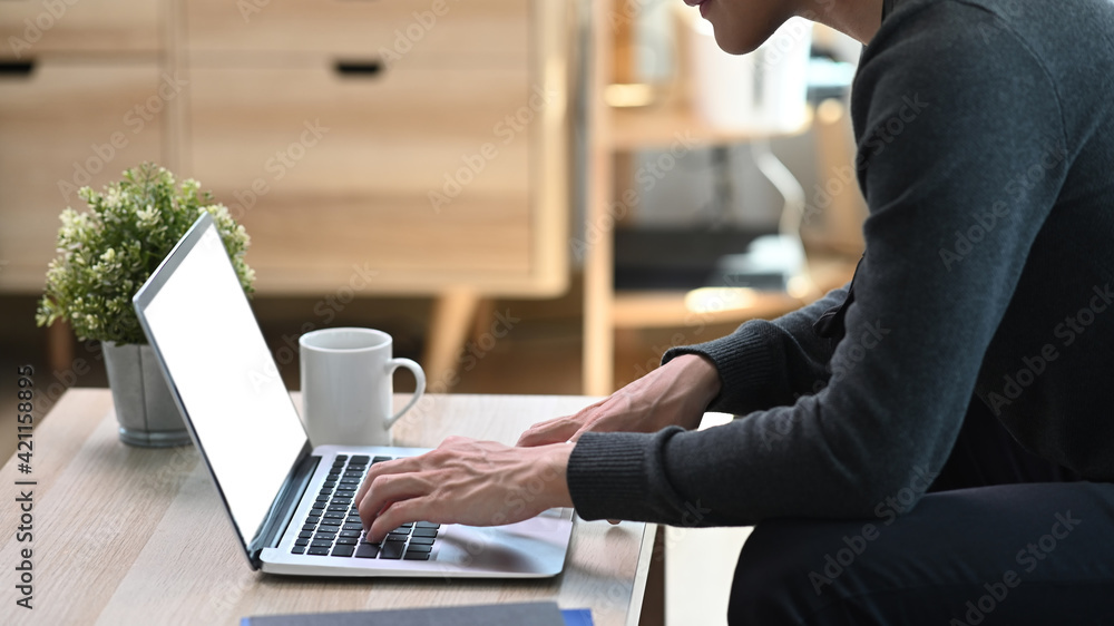 Poster side view of young man siting on sofa and using laptop computer at home.