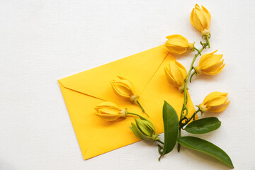 yellow flowers ylang ylang local flora of asia in spring season in envleope arrangement flat lay...