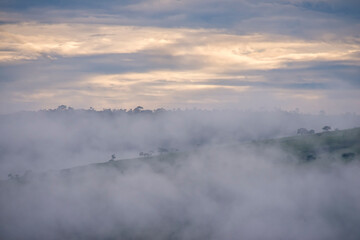 Obraz na płótnie Canvas Mist photographed in Goias. Midwest of Brazil. Cerrado Biome. Picture made in 2015.