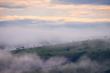 Obraz premium Mist photographed in Goias. Midwest of Brazil. Cerrado Biome. Picture made in 2015.