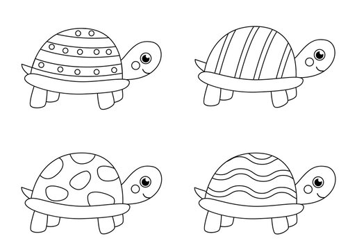 Color black and white turtles. Coloring page for kids.