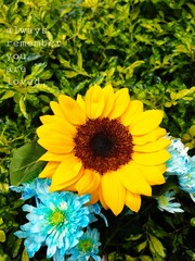Obraz premium Always remember, you are Loved.