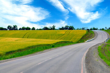 The road along the forest, spring meadows and fields, the countryside