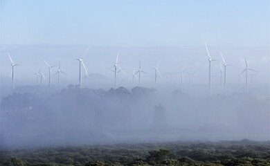 Landscape with a wind park in the morning fog