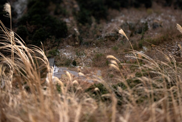 ミニチュアな雪山