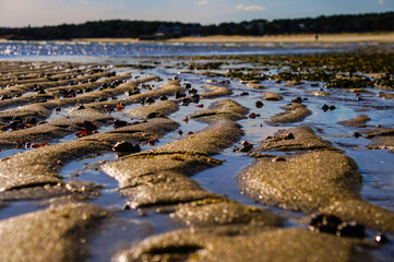sand on the beach