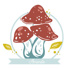 Mushroom set of vector illustrations with caption Amanita isolated on white. Mushrooms, graphic style.