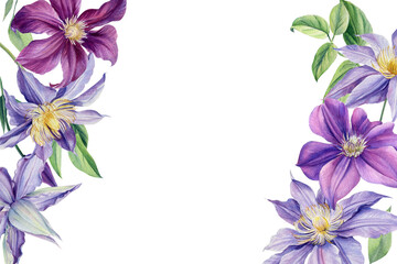 Obraz premium Invitation cards, purple clematis on a white background, watercolor illustration, flora design, botanical painting