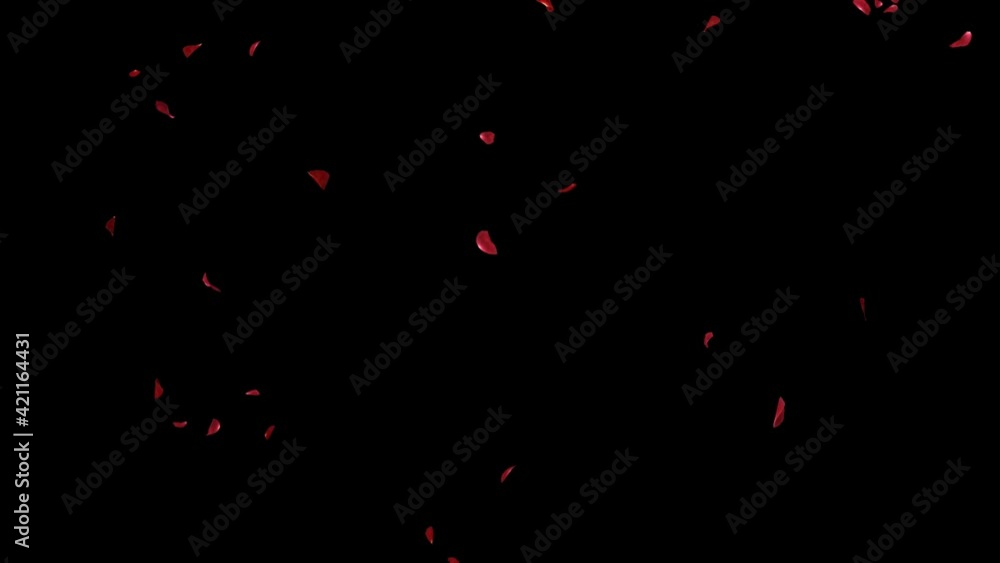 Poster falling of red rose petals 2 clip with alpha channel. fall start to end and seamless loop easy to us