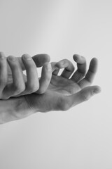 Black and white Palm 