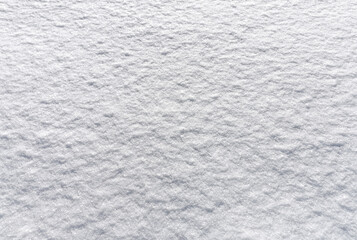 Fototapeta premium Fresh snow