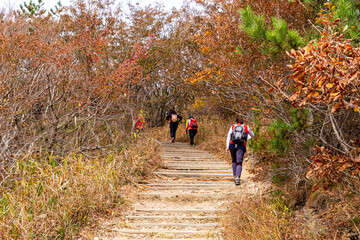 山登りをする人々