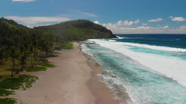 Aerial view by drone, of a paradisiac beach in the Indian Ocean, with white sand, blue water, coconut palms and big waves