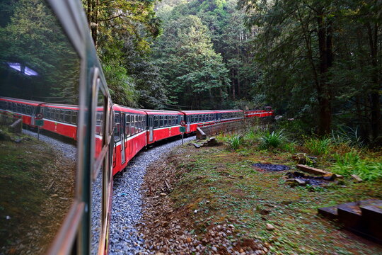 Forest train on railway in Alishan National Forest Recreation Area, situated in Alishan Township, Chiayi , TAIWAN