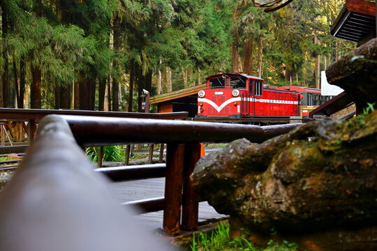 Sacred Tree Station in Alishan National Forest Recreation Area, situated in Alishan Township, Chiayi , TAIWAN