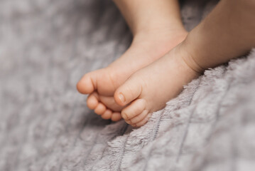 Portrait of a cute bab, legs of a newborn