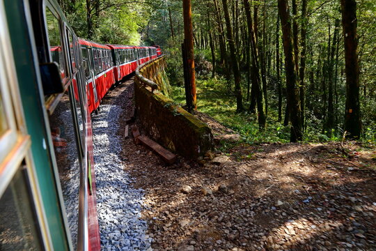 Forest train on railway in Alishan National Forest Recreation Area, situated in Alishan Township, Chiayi , TAIWAN