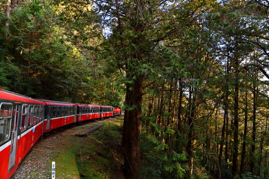 Forest train on railway in Alishan National Forest Recreation Area, situated in Alishan Township, Chiayi , TAIWAN