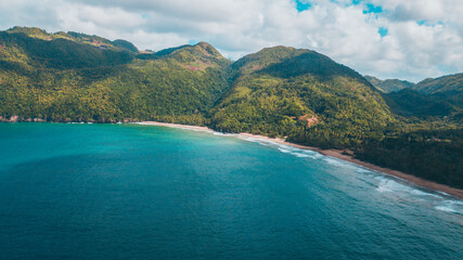 caribbean beach with palm trees