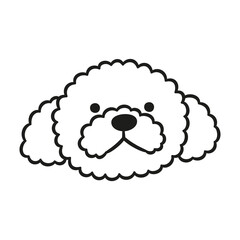 Cute Poodle face. Dog head icon. Hand drawn isolated vector illustration in doodle style on white background