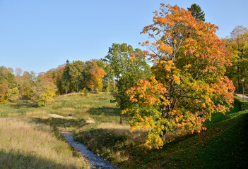 Fototapeta premium autumn landscape with trees. autumn, fall, landscape, forest, tree, nature, sky, trees, park, green, leaves, yellow, season, blue, leaf, red, colorful, grass, colors, orange, foliage, hill, brook