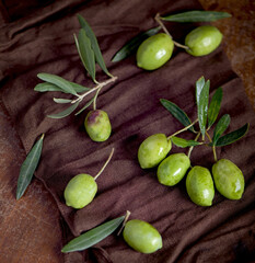 Olive oil and olive branch on black background