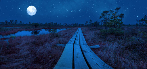Panoramic view of bog at night with wooden path, small ponds and pine trees. Hiking trail with wooden walkway that goes across the swamp against full moon and  night sky with stars.