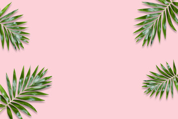 Naklejka na ściany i meble green palm leaves Monstera on pink background. Flat lay, top view