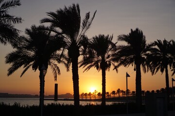 Sunset in Qatar