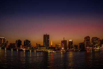 Fototapeta premium 東京都の街並みと東京タワー