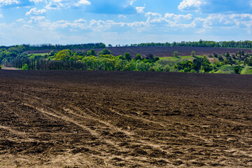 Plowed agricultural field at summer. Rural landscape
