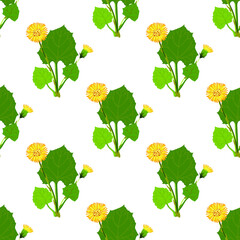 Yellow field dandelion on a white background, texture for design, seamless pattern, vector illustration