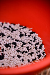 black and white beans in a bowl. Fresh Phaseolus vulgaris plants picked from the garden