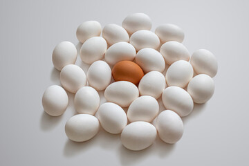 Among the white eggs, one egg with a brown shell on a light background