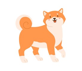 Cute kawaii dog of Shiba Inu breed walking. Friendly adorable puppy with funny muzzle. Japanese Akita doggy. Colored flat vector illustration sweet lovely animal isolated on white background