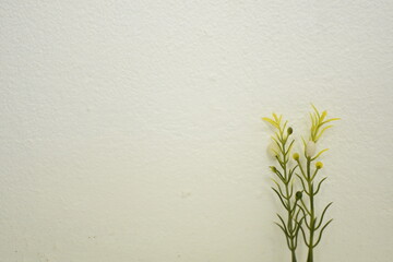 green small plant grass on the white wall