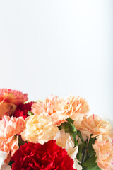 Fresh colored carnations. Carnation bouquet close-up. Floral background.