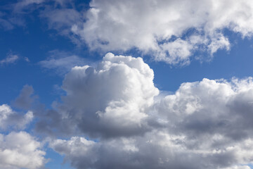 Obraz premium Detail of a white cloud in a bright blue sky. Dark rain clouds displace the blue sky. Storm is coming 