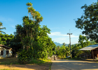 On the small concrete road in the countryside