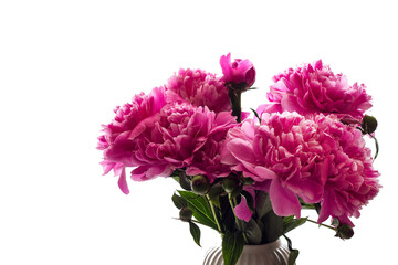 Peonies. A bouquet of peonies on a white background. Spring flowers. Copy space.