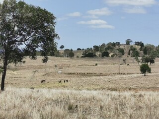 scenic landscape of a ranch in Gunalda