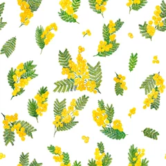 Foto op Plexiglas anti-reflex Acacia dealbata, Silver Wattle, mimosa, Yellow fluffy flowers.Spring Seamless pattern. Cosmetic, perfumery and medical plant.  © Lullula
