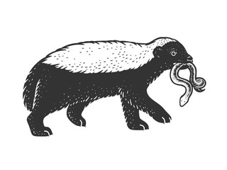 Honey badger ratel sketch raster illustration