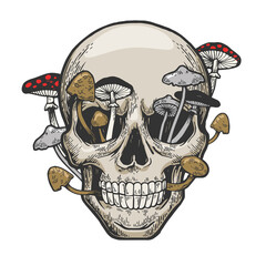 Human skull with mushrooms sketch engraving raster
