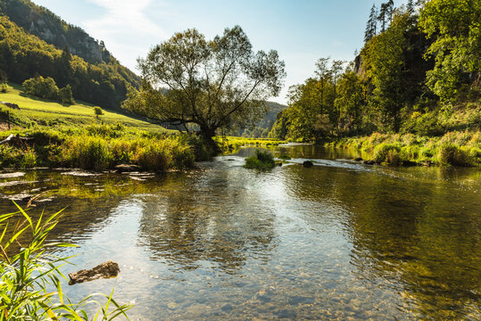 Donau bei Fridingen an der Donau, Donautal, Naturpark Obere Donau, Baden-W&uuml;rttemberg, Deutschland