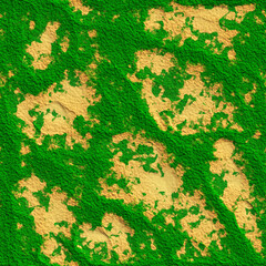 Seamless Texture green oasis sand and vegetation top view
