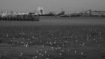 East London River and Marshes