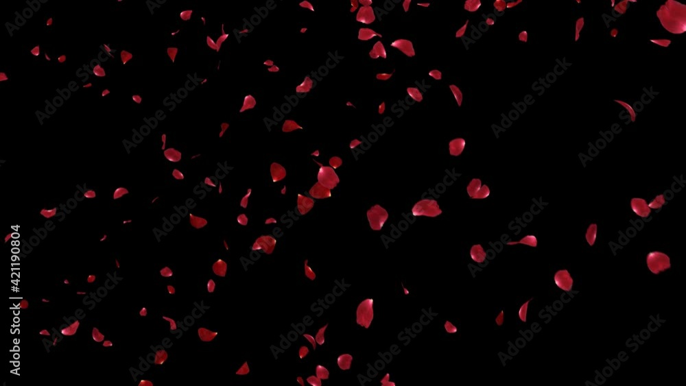 Poster falling of red rose petals 2 clip with alpha channel. fall start to end and seamless loop easy to us