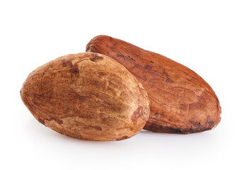 Cocoa beans isolated on white background.
