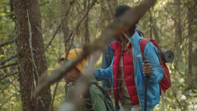 Young Afro-American woman walking with trekking poles and talking with little mixed race son and Caucasian husband while hiking together in woods